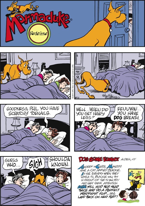 marmaduke